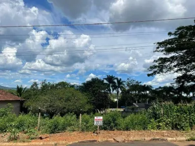 Lote/Terreno à venda, 379m² no Vila Jardim São Judas Tadeu, Goiânia