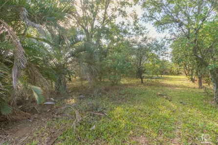 Lote/Terreno à venda, 410m² no Vicentina, São Leopoldo