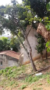 Lote/Terreno à venda, 207m² no Tucuruvi, São Paulo