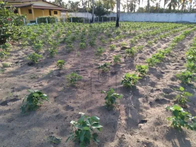 Lote/Terreno à venda, 2716m² no Bairro Novo, São José de Mipibu