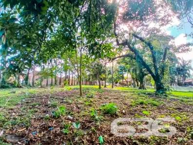 Lote/Terreno à venda, 24310m² no Iperoba, São Francisco do Sul
