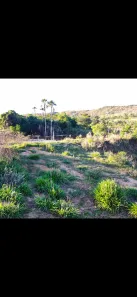 Fazenda/Sítio com 4 Quartos à venda, 23m² no , Santa Cruz de Goiás