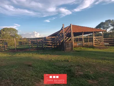 Fazenda/Sítio à venda, 314600m² no , Anicuns