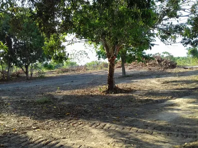 Fazenda/Sítio à venda, 42860000m² no Célio Miranda, Paragominas