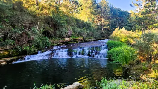 Fazenda/Sítio com 4 Quartos à venda, 73326m² no , Carambeí