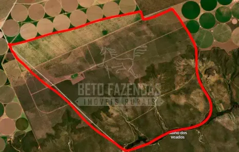 Fazenda/Sítio à venda, 99500000m² no , São Desidério