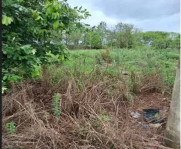 Lote/Terreno à venda, 222m² no , Getulina