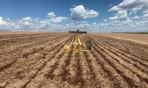 Fazenda/Sítio com 1 Quarto à venda, 25000000m² no Centro, Maracaju