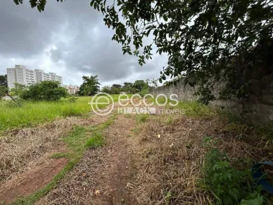 Lote/Terreno à venda, 10710m² no Jardim Holanda, Uberlândia