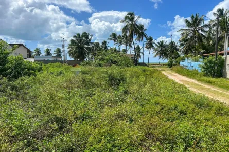 Lote/Terreno à venda, 325m² no , Tamandaré