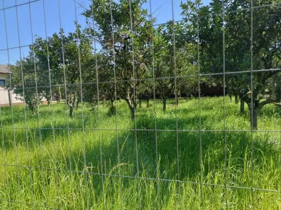 Lote/Terreno à venda, 509m² no Picada Holanda, Picada Café
