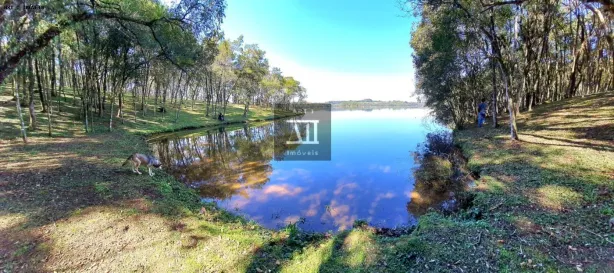 Fazenda/Sítio com 1 Quarto à venda, 20000m² no Botiatuva, Campo Largo