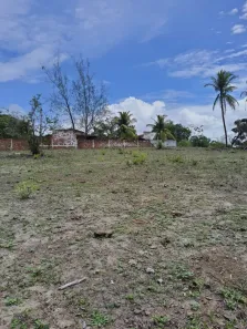 Fazenda/Sítio com 3 Quartos à venda, 150000m² no Guajiru, São Gonçalo do Amarante