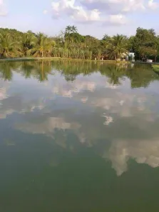Fazenda/Sítio à venda, 27500m² no , Rio Preto da Eva