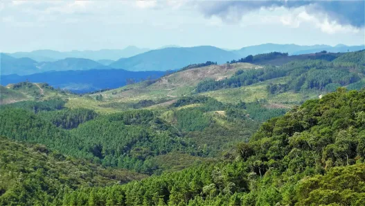 Fazenda/Sítio à venda, 6600000m² no Rancho Queimado, Rancho Queimado