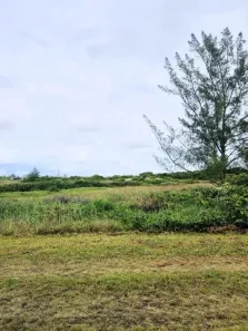 Lote/Terreno à venda, 270m² no Balneário dos Meninos, Ilha Comprida