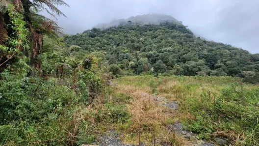 Lote/Terreno à venda, 60000m² no Santa Teresinha, Urubici