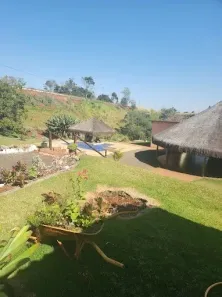 Fazenda/Sítio à venda, 24000m² no Vila Reis, Apucarana