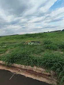 à venda, 354m² no Real Sul, Ribeirão Preto