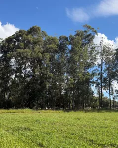 Lote/Terreno à venda, 1m² no Thermas de Santa Bárbara, Águas de Santa Bárbara