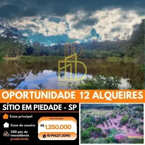 Fazenda/Sítio com 2 Quartos à venda, 10m² no , Piedade