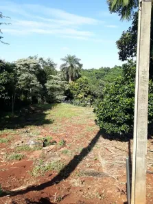 Lote/Terreno à venda, 5000m² no Parque Jamaica, Londrina