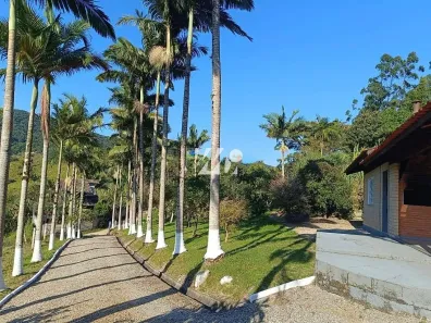 Fazenda/Sítio com 2 Quartos à venda, 23632m² no Calemba, Santo Amaro da Imperatriz
