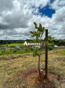 Lote/Terreno à venda, 307m² no Granja Marileusa, Uberlândia