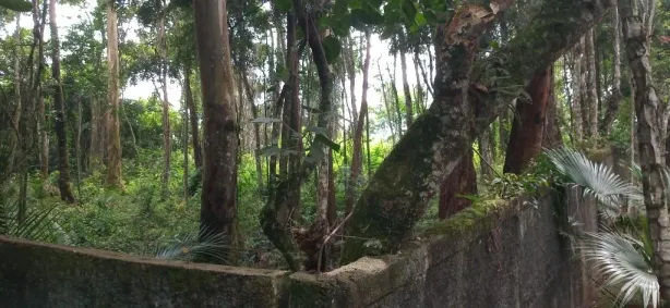 Lote/Terreno à venda, 500m² no Paisagem Renoir, Cotia