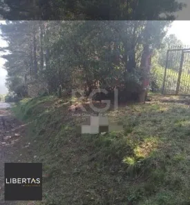 Lote/Terreno à venda, 4000m² no Lomba do Pinheiro, Porto Alegre
