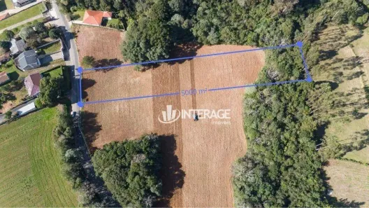 Lote/Terreno à venda, 5000m² no Vila Delurdes, Campo Largo