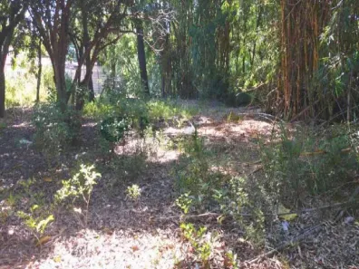 Lote/Terreno à venda, 387m² no Orion, Divinópolis