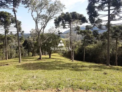 Fazenda/Sítio com 1 Quarto à venda, 20000m² no Centro, São Bento do Sul