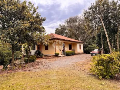 Fazenda/Sítio com 4 Quartos à venda, 150m² no Faria Lemos, Bento Gonçalves