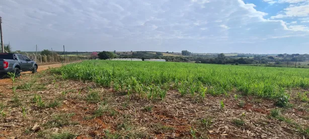 Fazenda/Sítio com 3 Quartos à venda, 73500m² no , Holambra