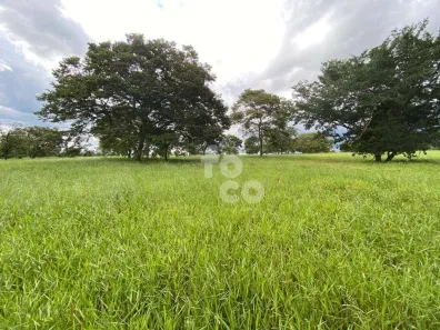 Fazenda/Sítio à venda, 4076m² no Miraporanga, Uberlândia