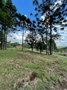 Lote/Terreno à venda, 7718m² no , Campo Alegre