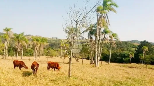Fazenda/Sítio com 1 Quarto à venda, 82m² no Lomba Grande, Novo Hamburgo