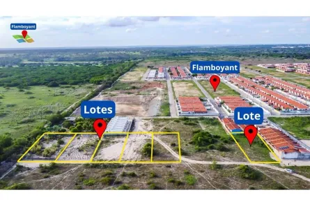 Lote/Terreno à venda, 4800m² no Loteamento Novo Horizonte, Macaíba