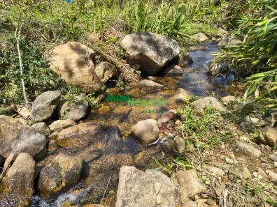 Fazenda/Sítio com 2 Quartos à venda, 84700m² no Centro, Cruzeiro