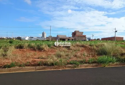 Lote/Terreno à venda, 250m² no Aclimação, Uberlândia