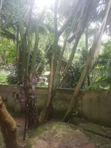 Casa de Condomínio com 3 Quartos à venda, 250m² no Eldorado, São Paulo