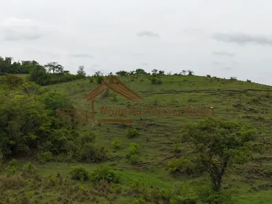 Fazenda/Sítio à venda, 338800m² no , Guareí