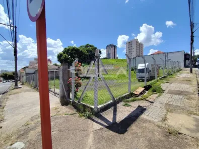 Lote/Terreno para alugar, 250m² no Centro, São Carlos