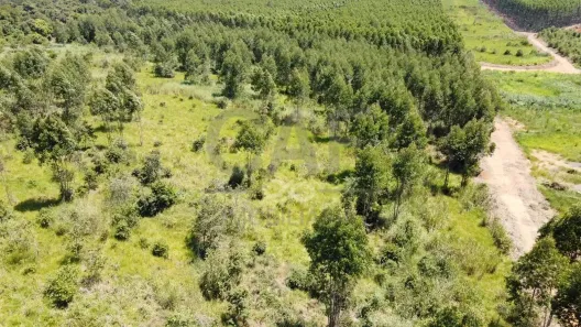 Lote/Terreno à venda, 10m² no Parque Industrial Mogi Guaçu, Mogi Guaçu