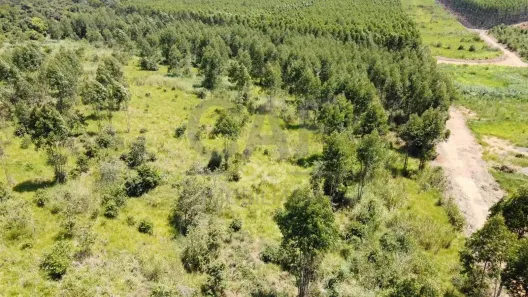 Lote/Terreno à venda, 20000m² no Parque Industrial Mogi Guaçu, Mogi Guaçu
