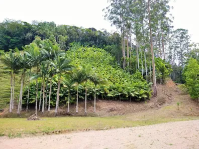 Lote/Terreno à venda, 17158m² no Pomerode Fundos, Pomerode