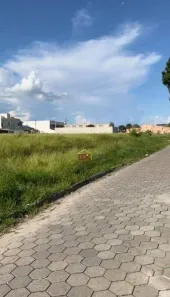 Lote/Terreno à venda, 250m² no Jardim Alvorada, Potim