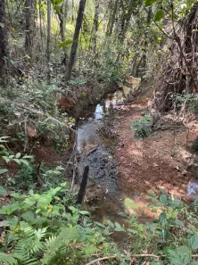 Lote/Terreno à venda, 100000m² no Jequitibá, Jequitibá