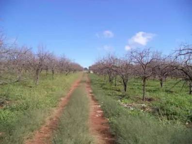 Fazenda/Sítio com 1 Quarto à venda, 30m² no Bairro Itapema, Itatiba